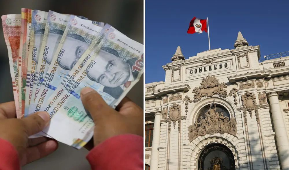 El Proyecto de Ley tiene la autoría de la parlamentaria Magaly Ruíz de la bancada de Alianza Para el Progreso. Composición: LR/Andina