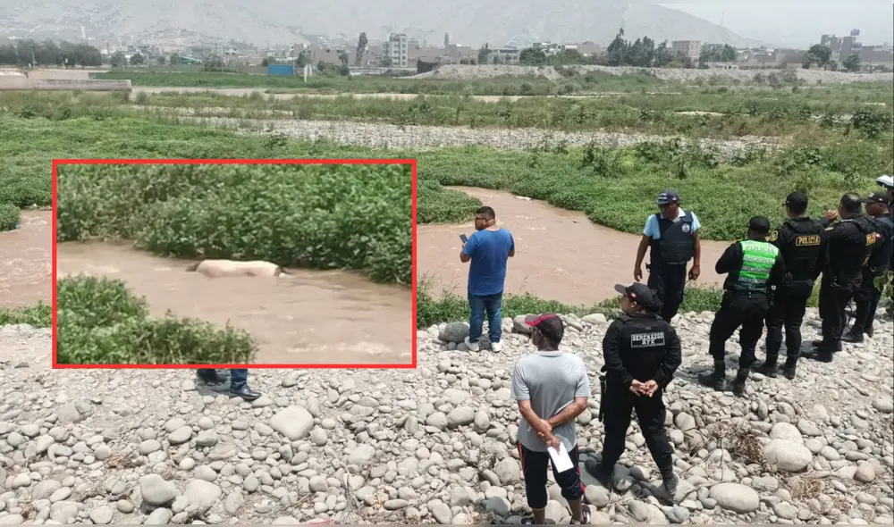 Vecino de la zona fue el que se percató del cuerpo en el río Rímac. Foto: PNP