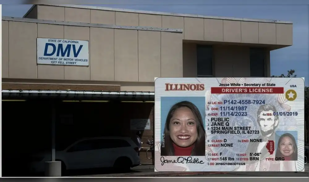La Real ID en Illinois es clave para millones de inmigrantes indocumentados. Foto: Composición LR/AP Noticias