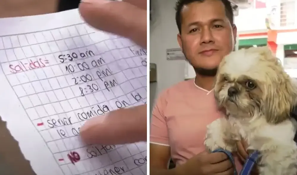 Taxista decidió viralizar el caso para encontrarle un hogar al can. Foto: captura Canal Capital/ Colombia