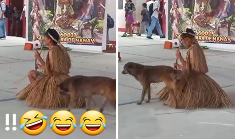 “Firulais: qué árbol más extraño”, bromearon usuarios. Foto: composición LR/ TikTok “Firulais: qué árbol más extraño”, bromearon usuarios. Foto: composición LR/ TikTok