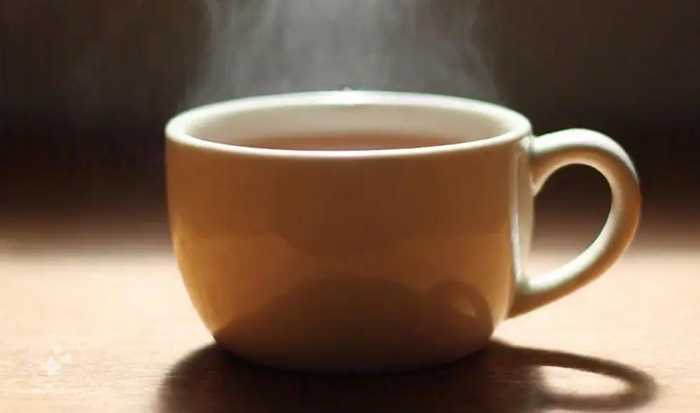 El té posee múltiples propiedades antioxidantes y relajantes, siendo de la infusiones más queridas del Perú y el mundo. Foto: composición LR / Andina