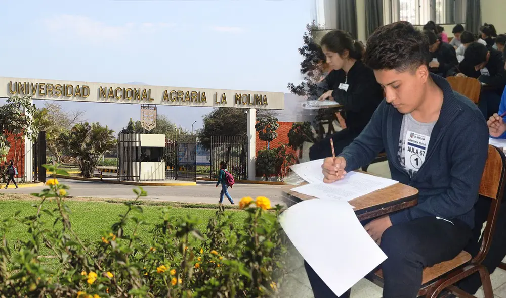 Los postulantes rendirán el examen de admisión de la UNALM 2025 en Oxapampa, Ayacucho y Lima. Foto: composición LR/UNALM