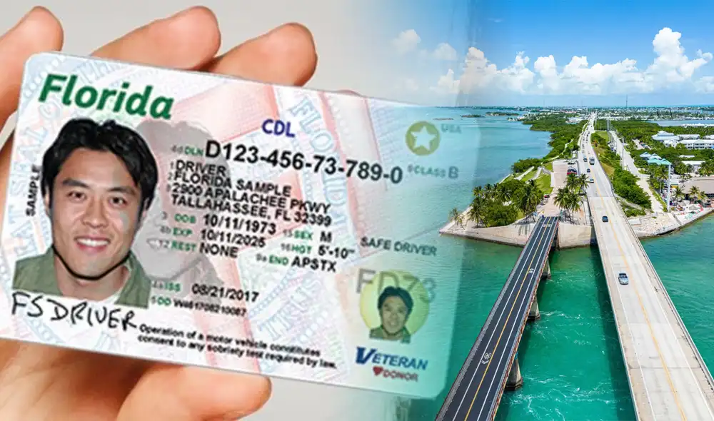 Así podrás conseguir tu licencia de conducir en Florida siendo inmigrante. Foto: composición LR/difusión