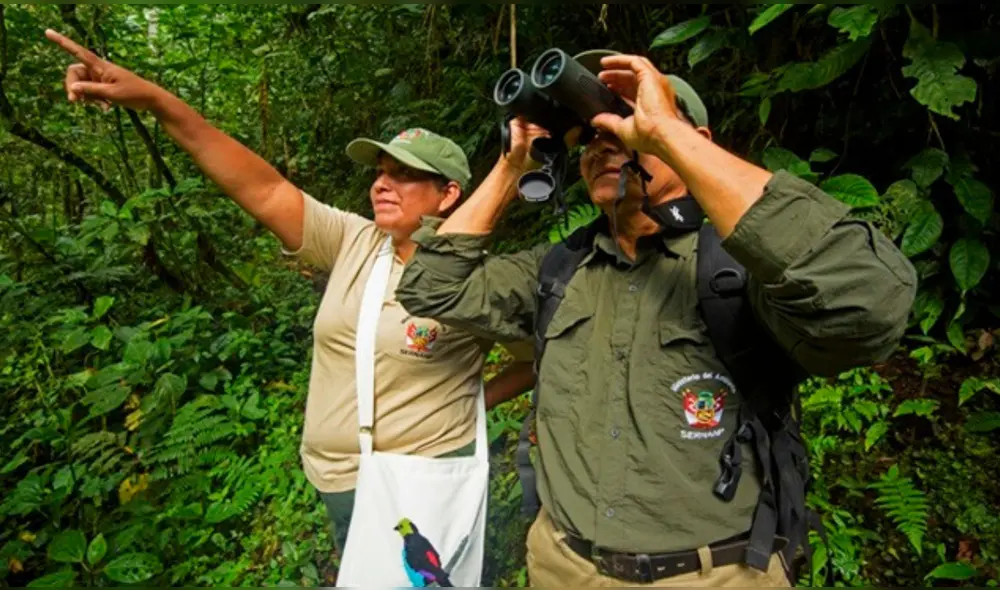 Guardabosques percibirán mejoras en salarios tras modificación de ley en el Congreso. Foto: Andina Guardabosques percibirán mejoras en salarios tras modificación de ley en el Congreso. Foto: Andina