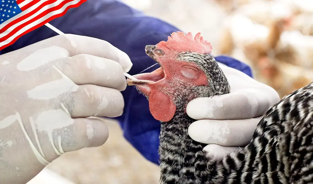 El Departamento de Salud Pública de California (CDPH) pidió al público abstenerse de consumir ciertos lotes y desecharlos inmediatamente.  Foto: EFE