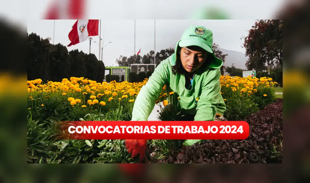 Municipalidad de La Molina lanza nueva convocatoria de trabajo. Foto: Composición LR/Difusión/Andina Municipalidad de La Molina lanza nueva convocatoria de trabajo. Foto: Composición LR/Difusión/Andina