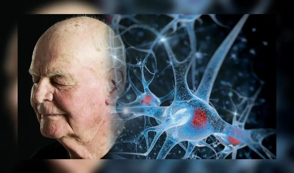 Estudio de la Universidad de Stanford revela que ciertas áreas del cuerpo envejecen a un ritmo más acelerado, impactando en la esperanza de vida. Foto: HispanTV