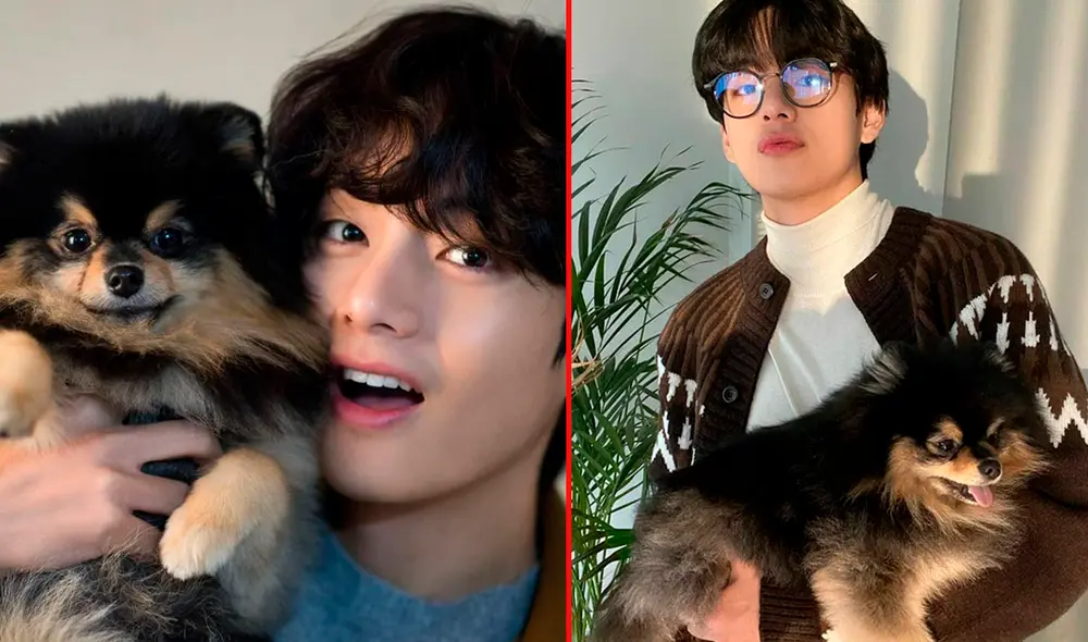 Taehyung se despide en redes sociales de su mascota Yeontan Taehyung se despide en redes sociales de su mascota Yeontan