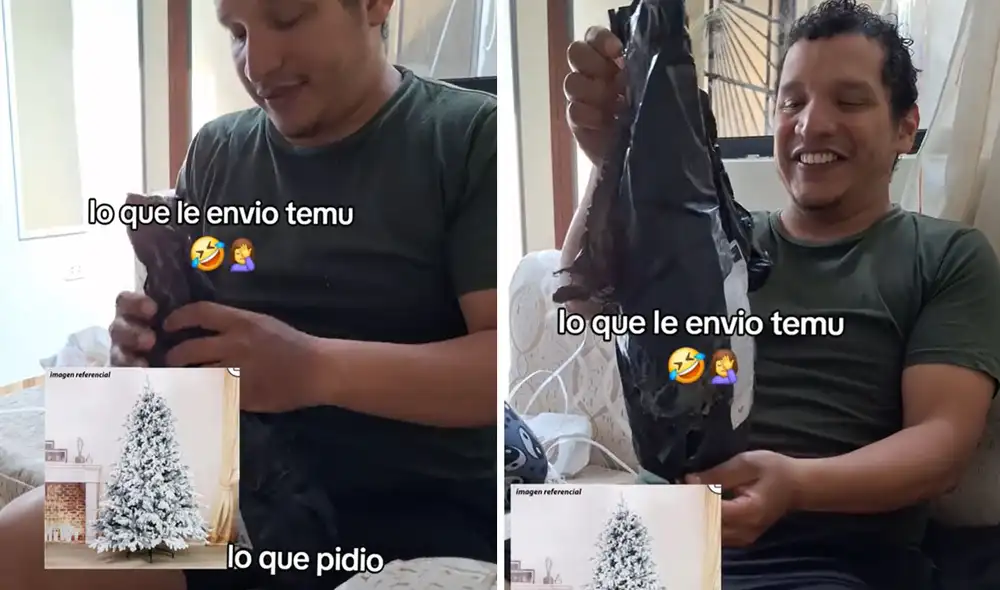 "Al menos ya tienes un plumero navideño", reaccionaron usuarios. Foto: composición LR/ TikTok