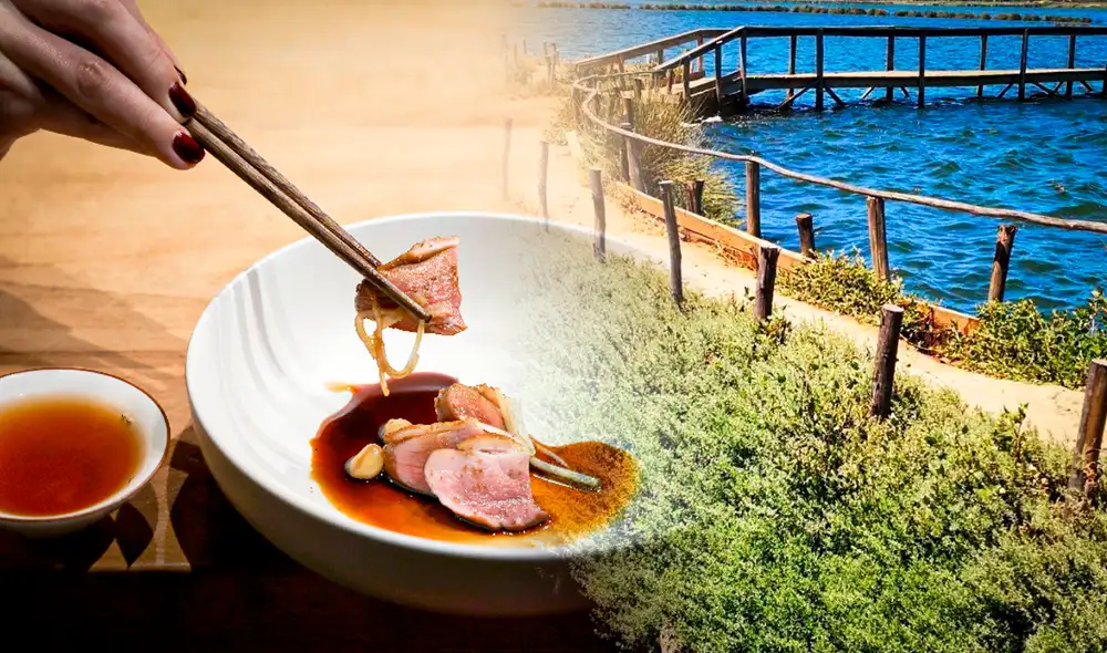 Esta nación sudamericana también fue distinguida con el premio de mejor destino verde del mundo en los World Travel Awards. Composición: LR/Reporte Agrícola. Esta nación sudamericana también fue distinguida con el premio de mejor destino verde del mundo en los World Travel Awards. Composición: LR/Reporte Agrícola.