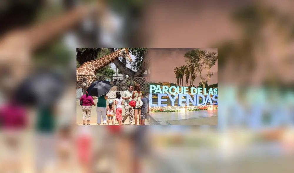 El Parque de las Leyendas realizará actividades especiales durante diciembre de este 2024. Foto: composición LR/Andina El Parque de las Leyendas realizará actividades especiales durante diciembre de este 2024. Foto: composición LR/Andina