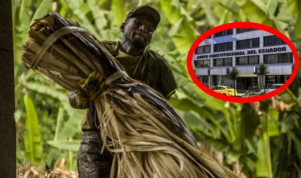 La Corte destacó que los trabajadores no podían acceder a otras fuentes de sustento. Foto: composiciónLR/El País