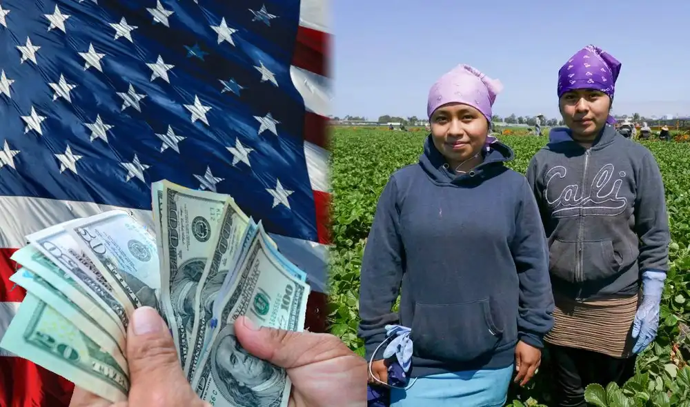 California pagará bono económico a sus trabajadores agrarios. Foto: composición LR/ USA news California pagará bono económico a sus trabajadores agrarios. Foto: composición LR/ USA news