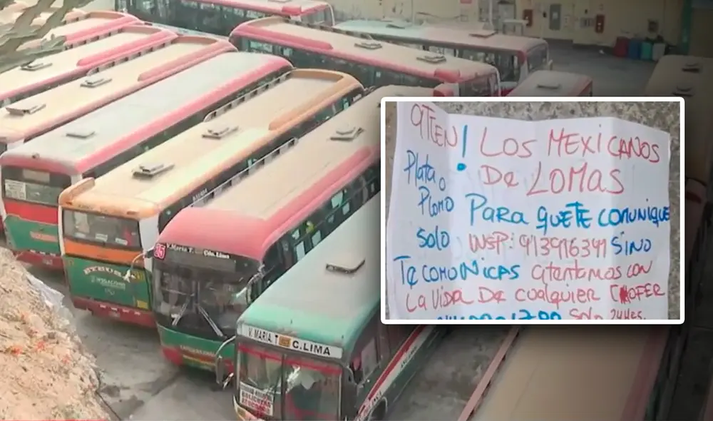 "Si salimos, cualquiera de nuestros compañeros puede llegar a terminar muerto", comentó una de las transportistas afectadas por los extorsionadores. Foto: composición LR/América TV