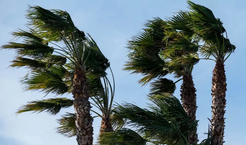 Los fuertes vientos en el sur de California son un fenómeno común, especialmente durante estas épocas del año.Foto: Excelsior California