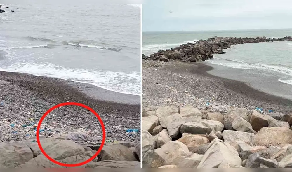 La Policía Nacional investiga acerca de la muerte de la mujer en orilla del Mar Brava en el Callao. Foto: composición LR/Callao TV/Roger García