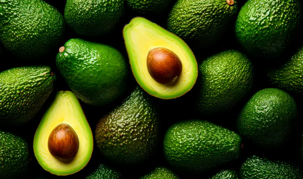 Durante el primer bimestre del año, la palta llegó a 13 diferentes mercados, según montos preliminares de la SUNAT. Foto: Agro Noticias. Durante el primer bimestre del año, la palta llegó a 13 diferentes mercados, según montos preliminares de la SUNAT. Foto: Agro Noticias.