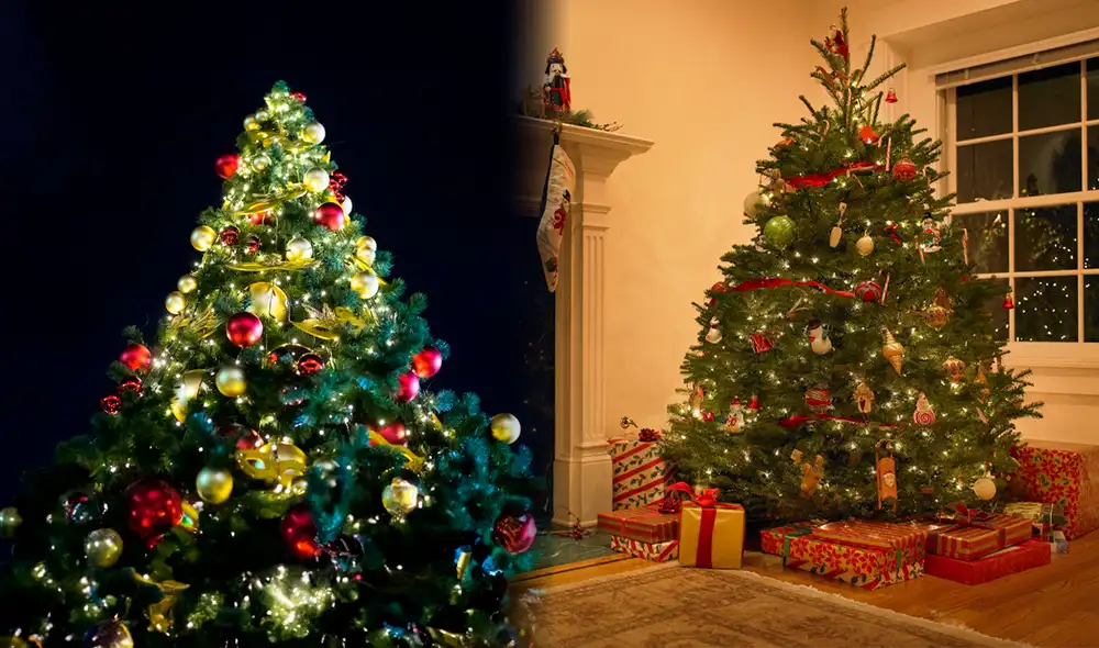 Programa especiales ofrecen árboles de Navidad gratuitos para familias con bajos recursos | Composición: Ariana Espinoza