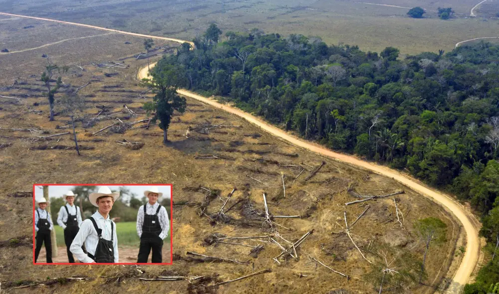 La deforestación en la Amazonía es un problema común que hasta la fecha no se ha podido resolver. Foto: composición LR/PUCP/QPASA La deforestación en la Amazonía es un problema común que hasta la fecha no se ha podido resolver. Foto: composición LR/PUCP/QPASA