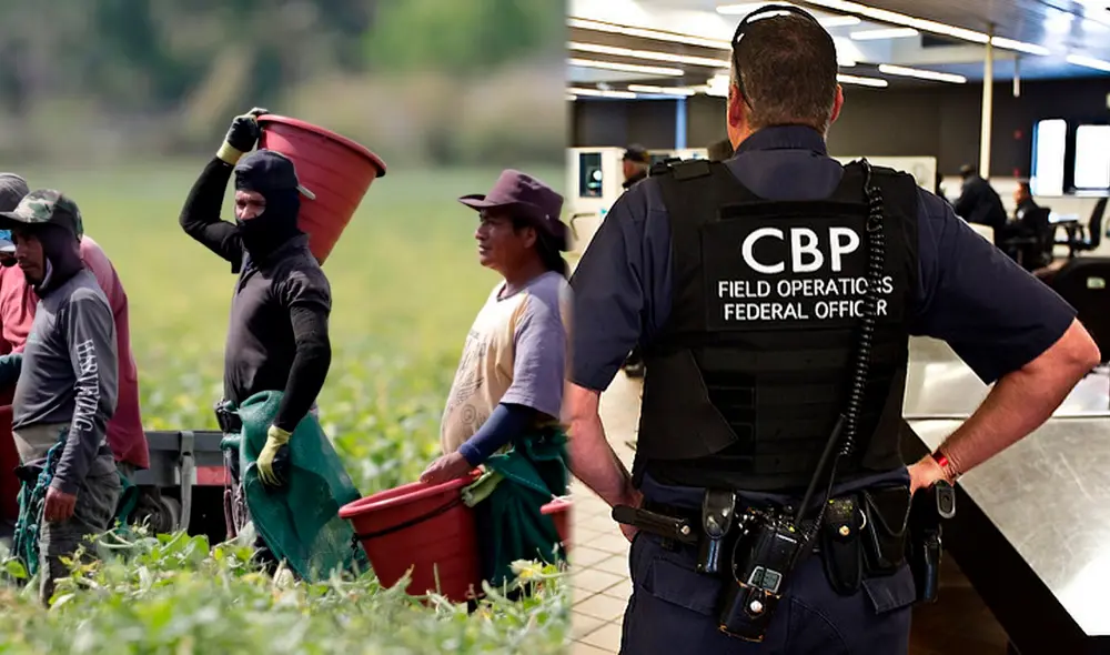 Trabajar ilegalmente con visa de turista acarrea graves consecuencias, como deportación y prohibición de regreso a EE. UU. Foto: Employee / Voz de América