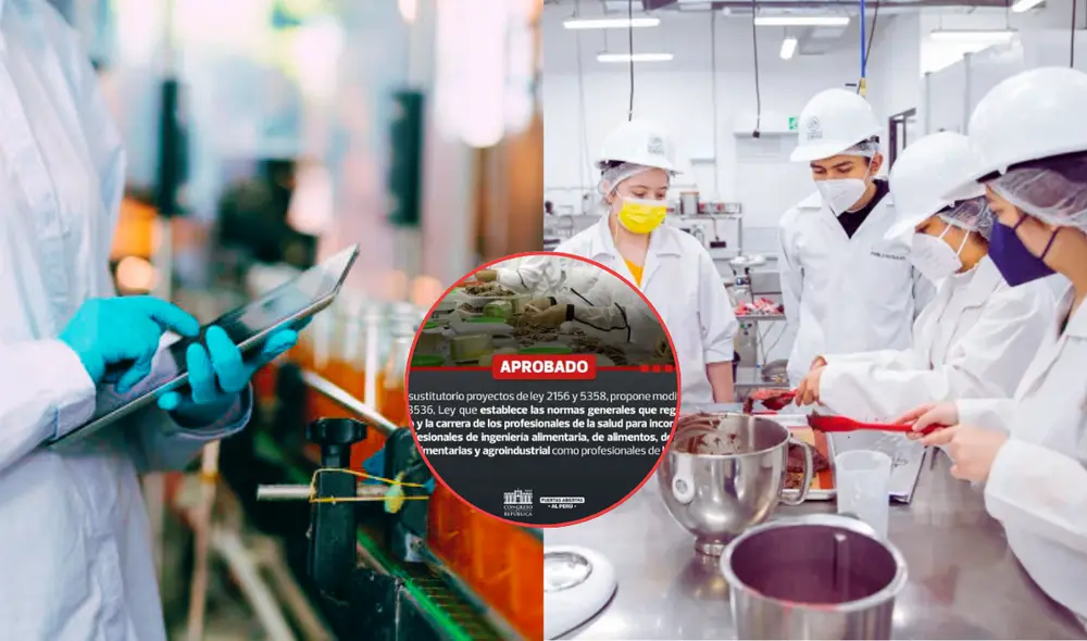 La iniciativa destaca la relevancia de estos ingenieros en el control de riesgos de contaminación en los procesos productivos de alimentos. Foto: composición LR/ Universidad del Valle de Guatemala/ Nirosa/Congreso La iniciativa destaca la relevancia de estos ingenieros en el control de riesgos de contaminación en los procesos productivos de alimentos. Foto: composición LR/ Universidad del Valle de Guatemala/ Nirosa/Congreso