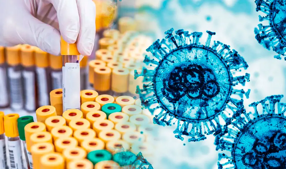 Las autoridades de Queensland están analizando la situación en el laboratorio de Virología de Salud Pública.  Foto: Composición LR/Actuaries/FoxNews.