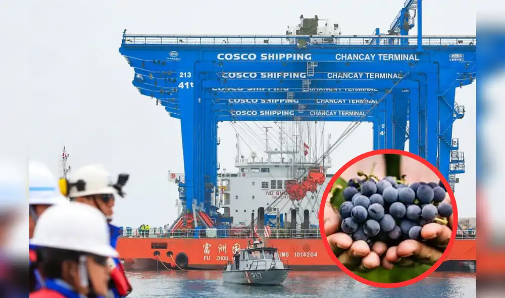 El primer fruto que fue enviado desde el Megapuerto de Chancay a China. Foto: Composición LR/Difusión