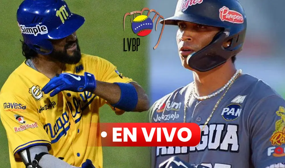 El juego de Magallanes vs Tigres será el quinto de la serie particular entre ambos. Foto: composición LR / Magallanes BBC / BeisbolPlay