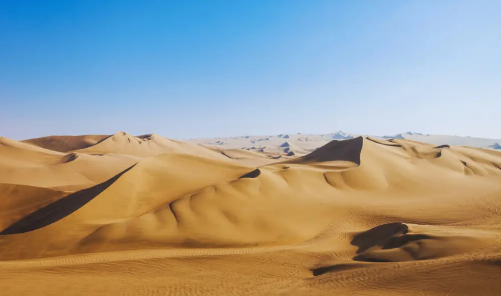 Esta ciudad es hogar del único oasis natural de América. Foto: Freepik Esta ciudad es hogar del único oasis natural de América. Foto: Freepik