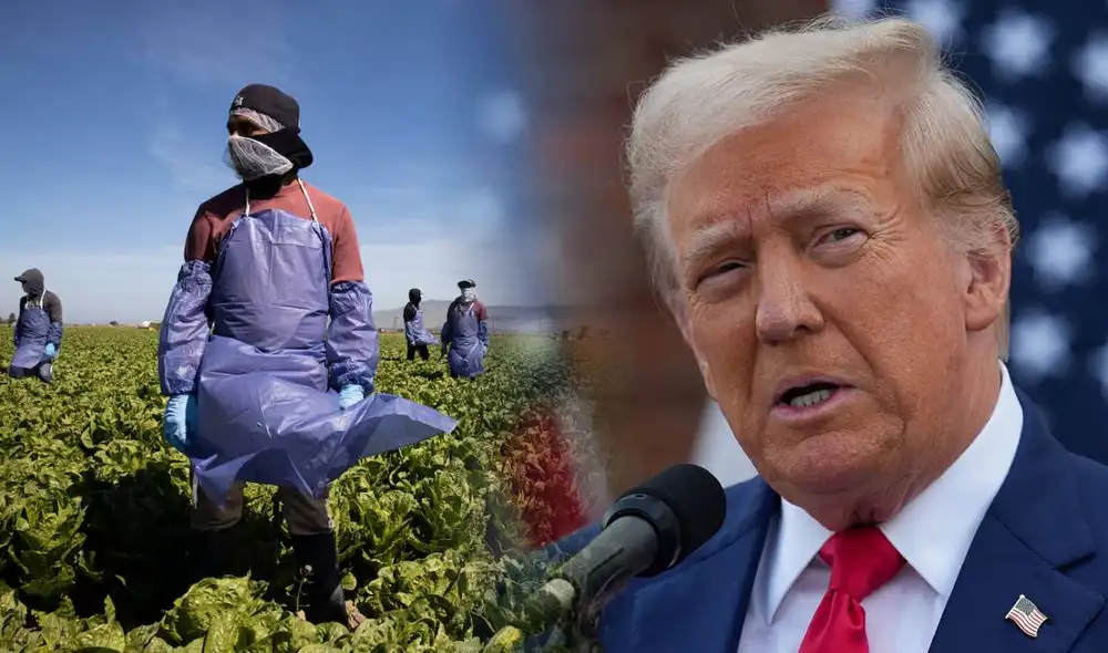 La primera guerra comercial de Donald Trump costó a los productores estadounidenses 11.000 millones de dólares. Foto: composición LR/ AFP