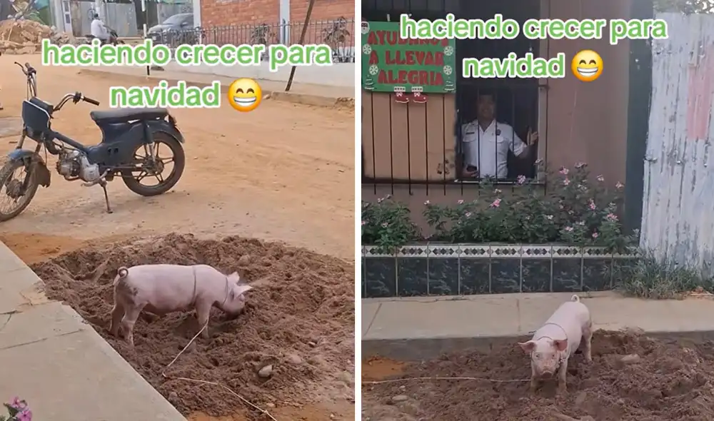 "¿Qué delito cometió?", bromearon usuarios en clip viral. Foto: composición LR/ TikTok