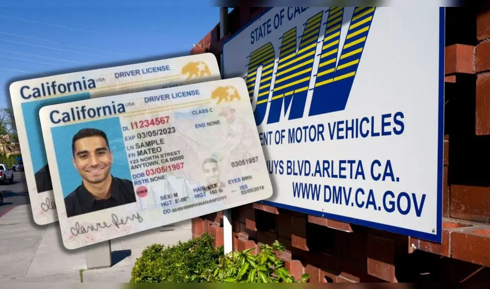 Actualiza tu licencia comercial en EE. UU. a una Real ID antes de mayo de 2025. Sigue esta guía paso a paso para cumplir con los requisitos federales.. Foto: Univisión Actualiza tu licencia comercial en EE. UU. a una Real ID antes de mayo de 2025. Sigue esta guía paso a paso para cumplir con los requisitos federales.. Foto: Univisión