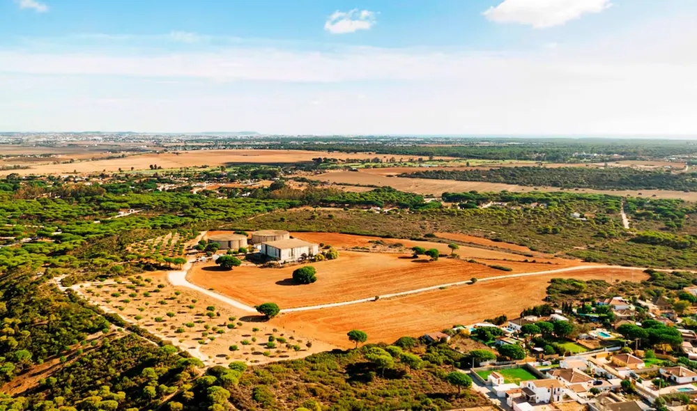 La elección del mejor suelo para construir una vivienda es crucial y depende de varios factores. Foto: Freepik