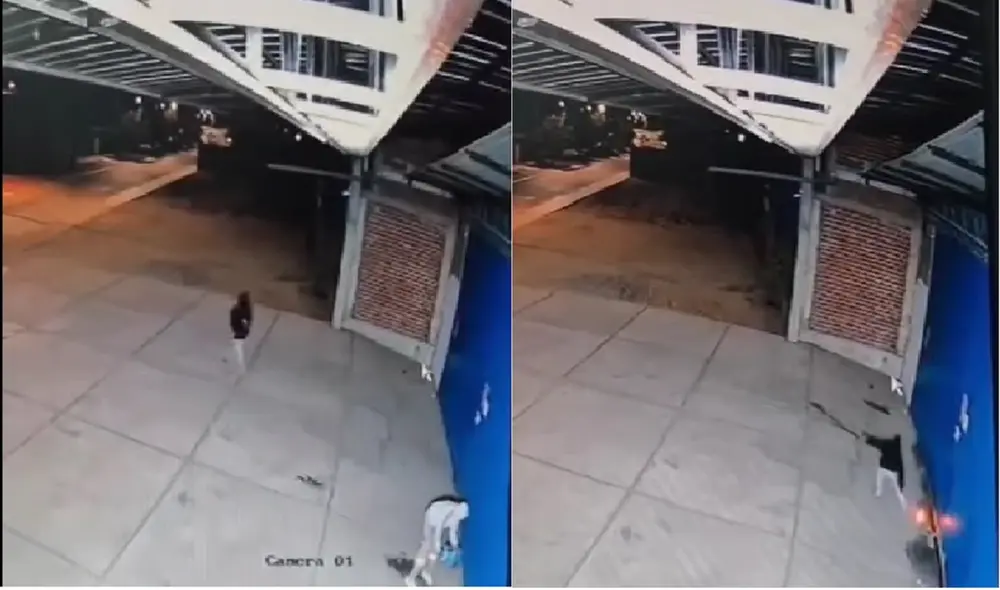 Cámaras captan a sujetos atentando cochera de empresa de transportes. Foto: captura de pantalla/ cámaras de seguridad