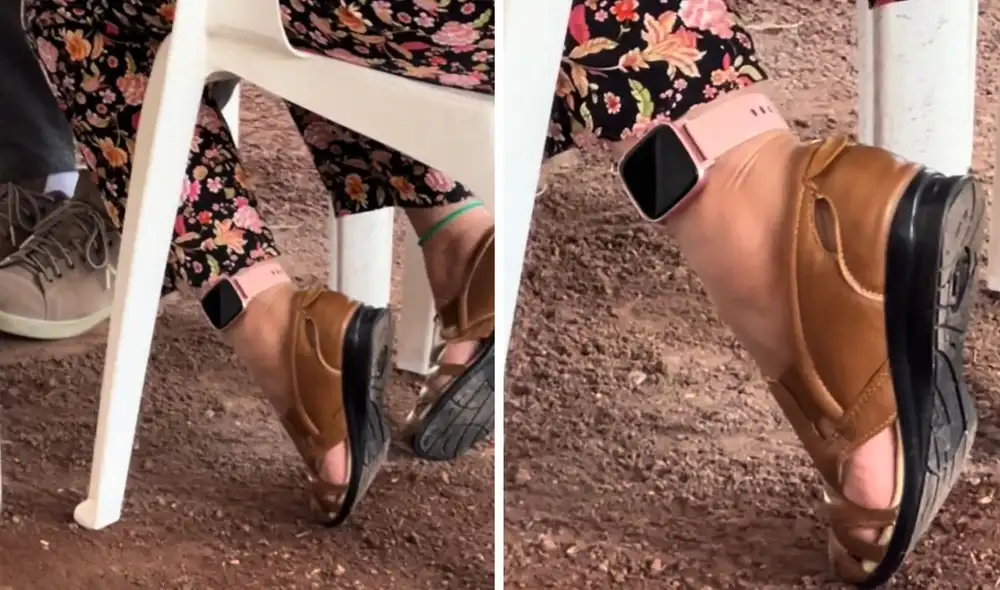 Clip generó divertidos comentarios en redes. Foto: composición LR/ TikTok