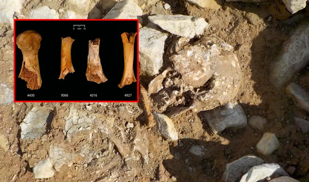 En Gran Bretaña descubrieron restos humanos que podrían pertenecer a la mayor masacre conocida de la Edad Media. Foto: composición Ariana Espinoza/LR