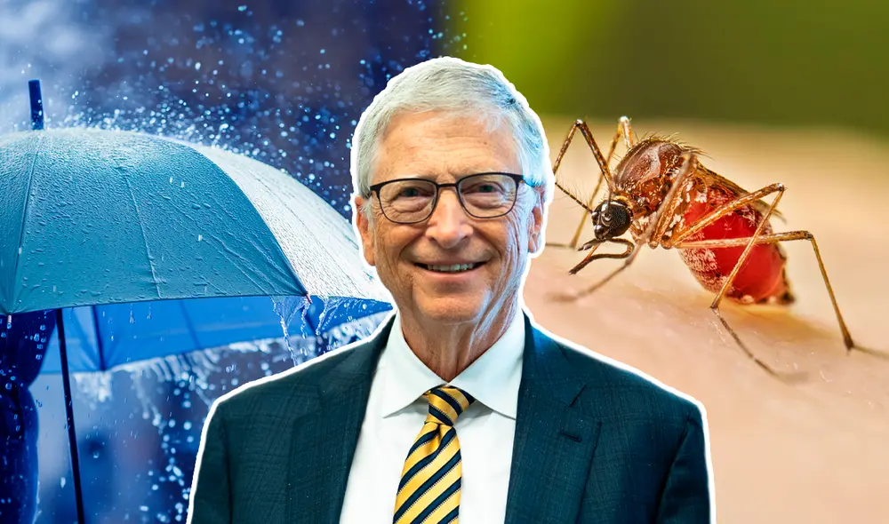 La estrategia del empresario consiste en criar 30 millones de mosquitos a la semana con el objetivo de erradicar enfermedades. Foto: Composición LR. La estrategia del empresario consiste en criar 30 millones de mosquitos a la semana con el objetivo de erradicar enfermedades. Foto: Composición LR.