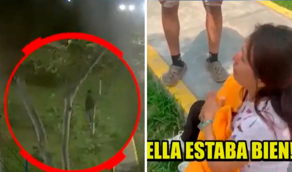 El sujeto paseaba a su mascota cuando derramó el veneno en el parque. Foto: composición LR/ATV