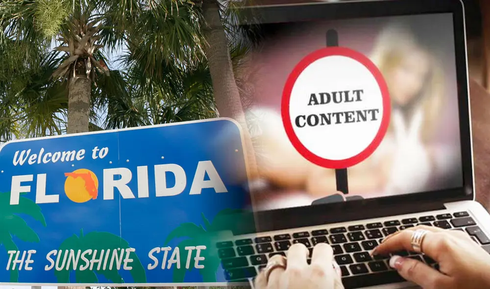 El principal desafío es encontrar un equilibrio entre proteger a los menores y respetar la privacidad de los usuarios adultos. Foto: composición LR/ Fox News