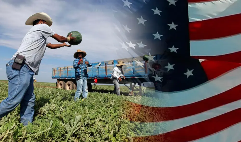 Esta medida busca facilitar la integración de talento diverso en el mercado laboral en Estados Unidos. Foto: composición LR/AFP.