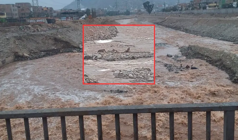 Las redes sociales han sido clave para difundir esta emergencia y coordinar esfuerzos. Foto: Captura /difusión. Las redes sociales han sido clave para difundir esta emergencia y coordinar esfuerzos. Foto: Captura /difusión.