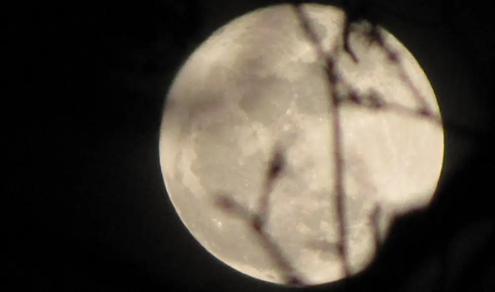 La Luna ha estado presente en las cosmovisiones de civilizaciones antiguas desde el surgimiento de las primeras culturas. Foto: Tink Tracy / Flickr