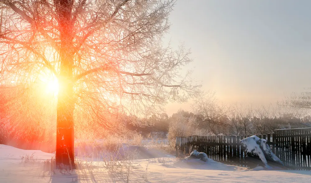 Descubre cuándo inicia el solsticio de invierno 2024 en Estados Unidos, el día más corto del año, y su impacto. Foto: Freepik