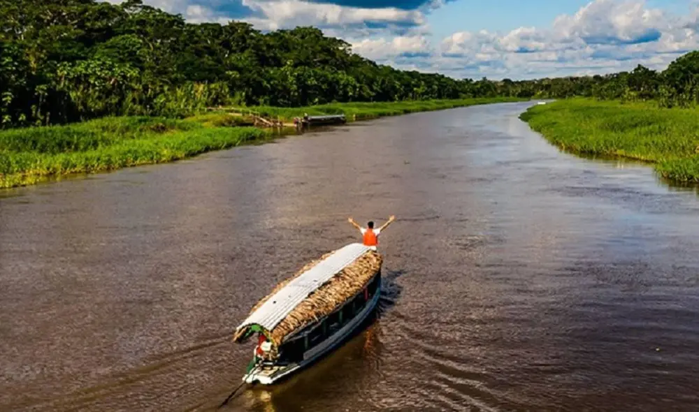 La Amazonía peruana es una de las áreas con mayor biodiversidad y endemismos del planeta. Foto: Andina