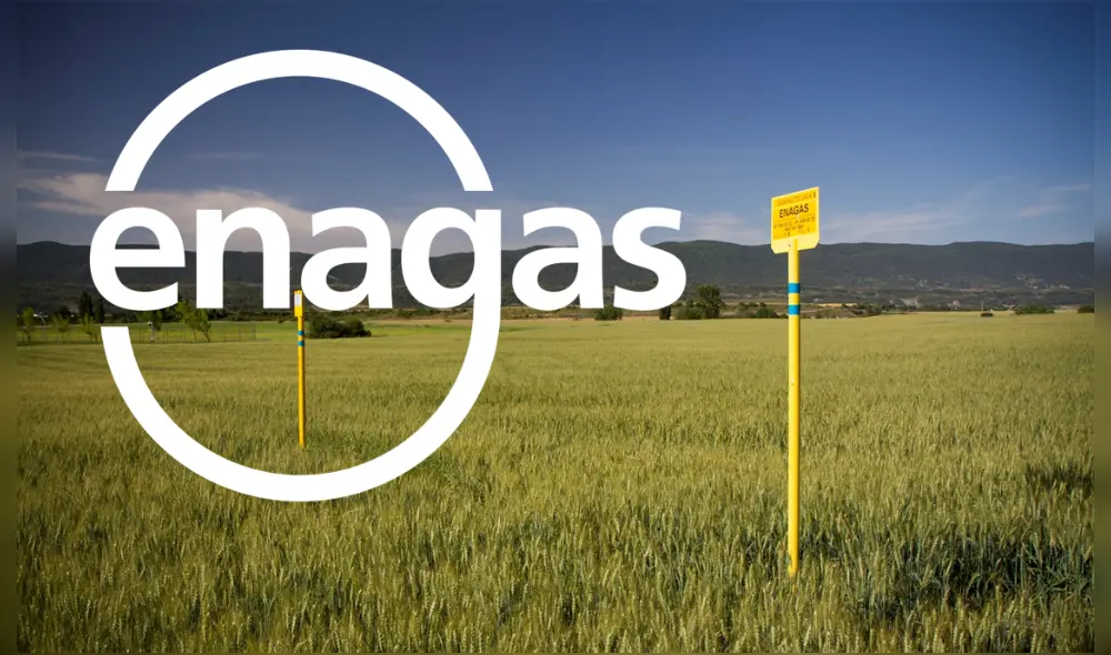 Enagas