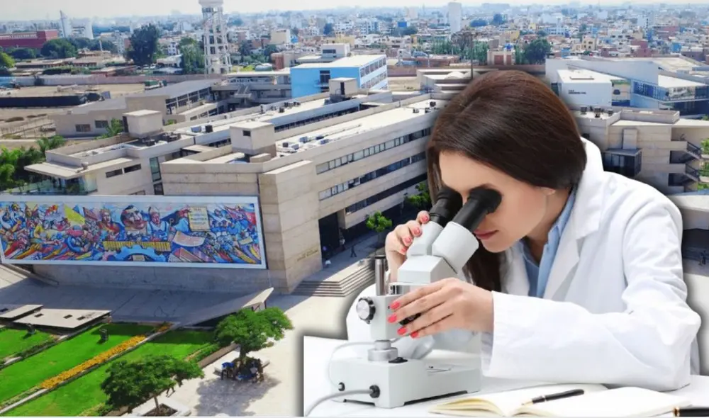 La Universidad Nacional Mayor de San Marcos (UNMSM) convoca al Proceso de Admisión 2025-II con una nueva carrera profesional. Foto: composición LR/UNMSM