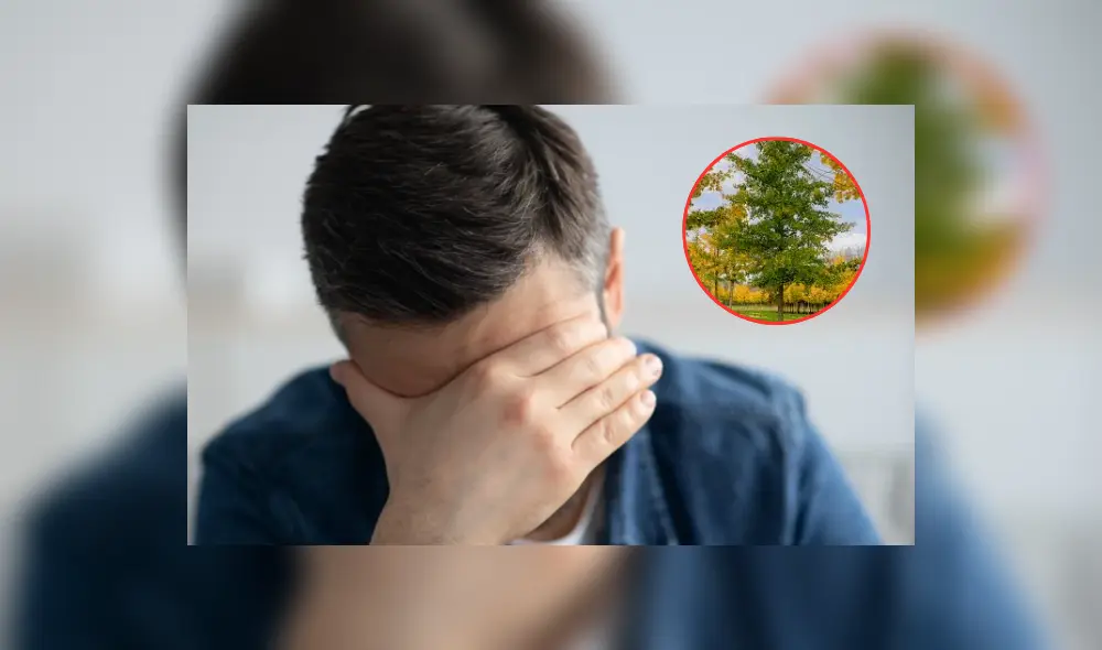 La pérdida de memoria suele afectar a personas de la tercera edad. Foto: Composición LR/Difusión