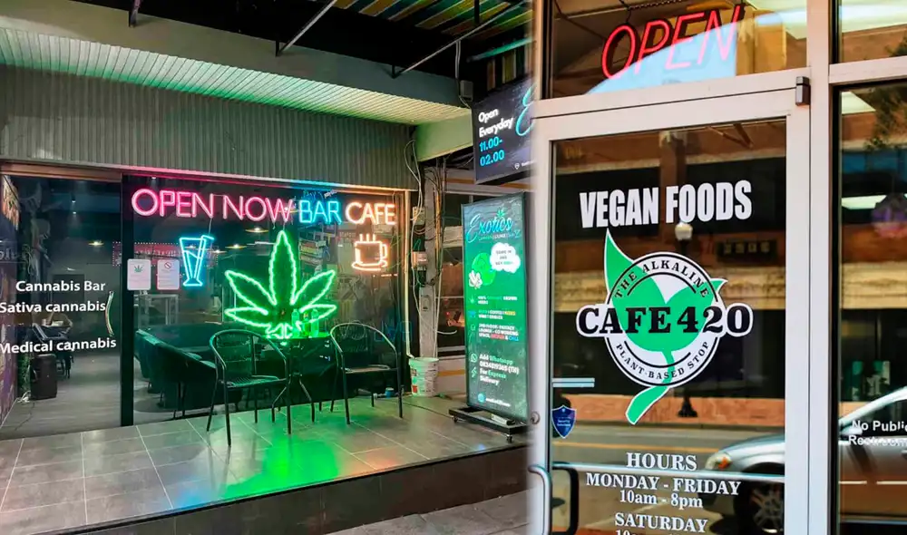 California permitirá la apertura de cafés de cannabis desde 2025, inspirándose en el modelo de Ámsterdam. Foto: Smoking Skunk / Oklahoma City