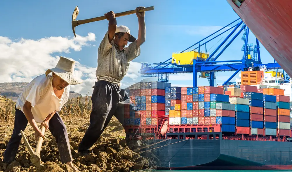 Perú es uno de los principales exportadores de frutas a nivel mundial. Foto: Composición LR/Difusión